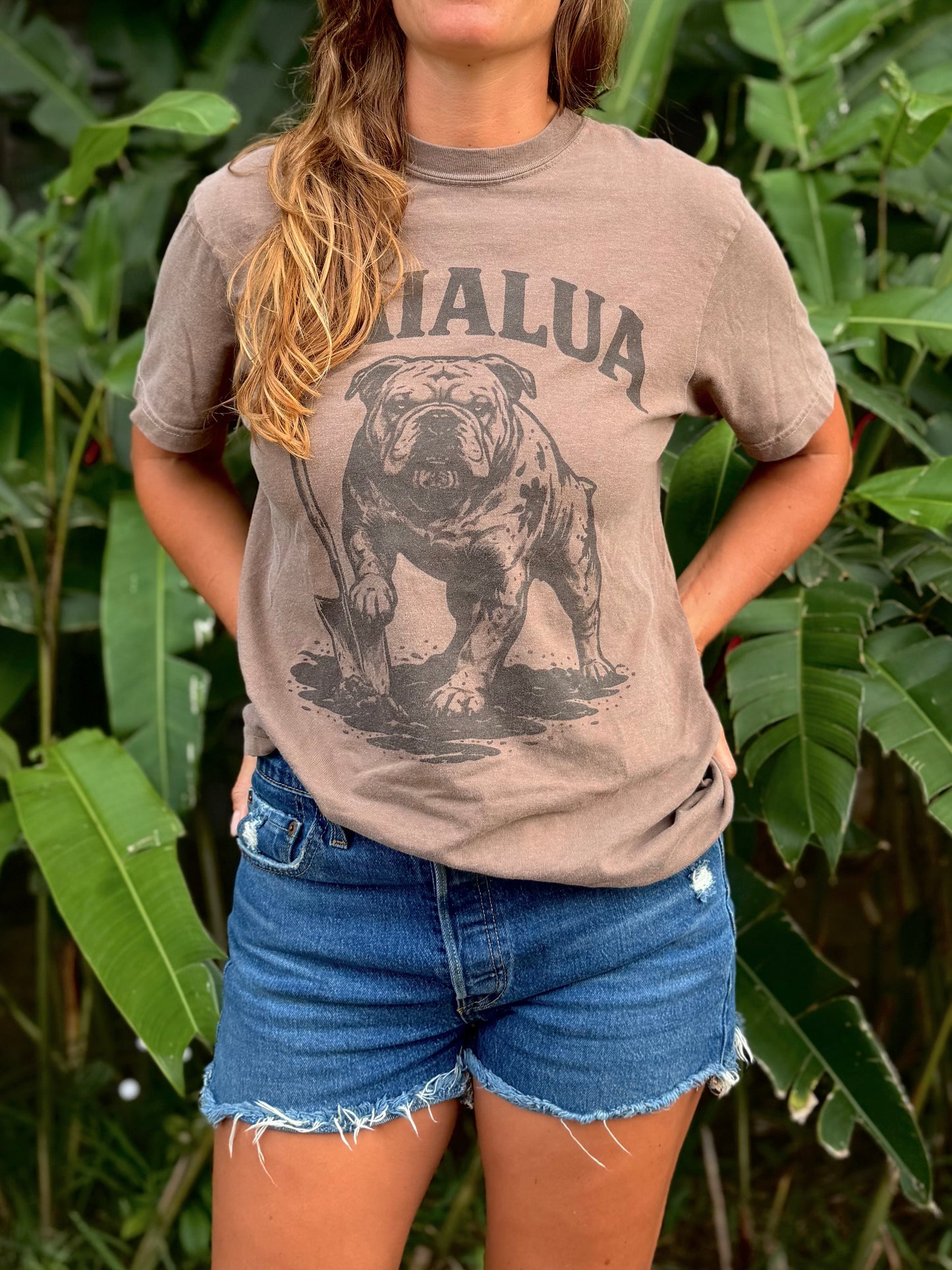 WAIALUA Fundraiser T-Shirt