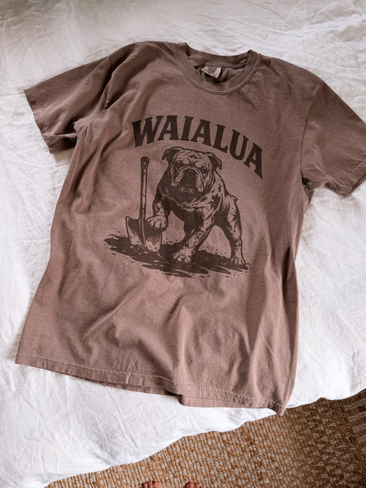 WAIALUA Fundraiser T-Shirt